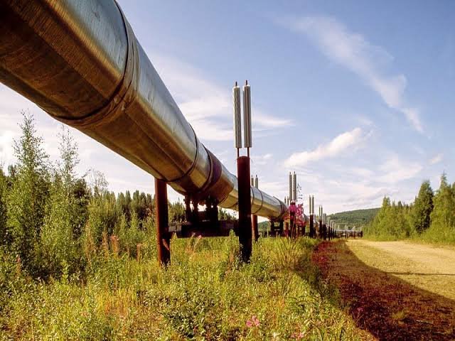 Tanzania Kickoff Construction of East African Crude Oil Pipeline